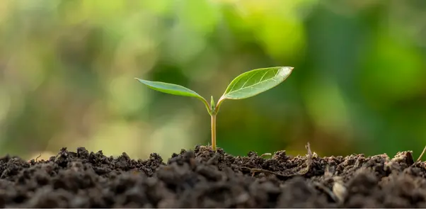 Formacion Extinción de incendios ecológico